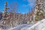 Snowy Driveway to Bear Den Cabin in Winter